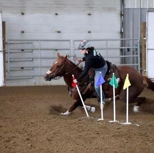 Meet your Posher, Bailey